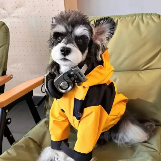 Stylish Outdoor Pet Jacket: Warm Windbreaker for Fall & Winte